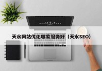 天水网站优化哪家服务好（天水SEO）