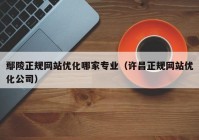 鄢陵正规网站优化哪家专业（许昌正规网站优化公司）